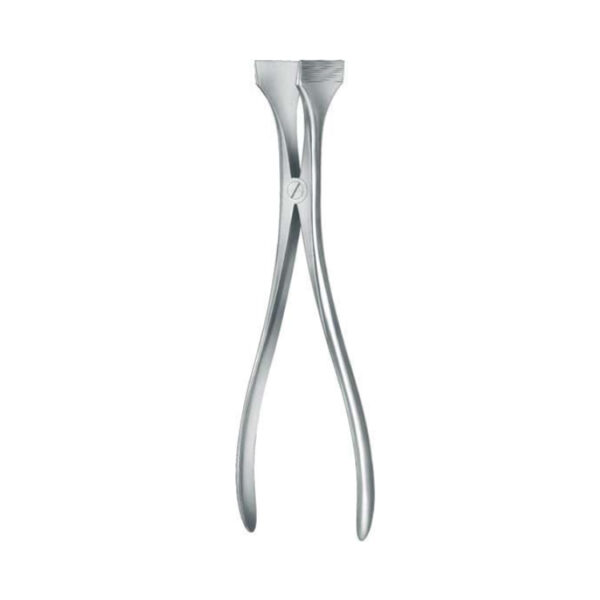 Plaster Spreaders