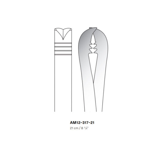 Langenbeck Bone Holding