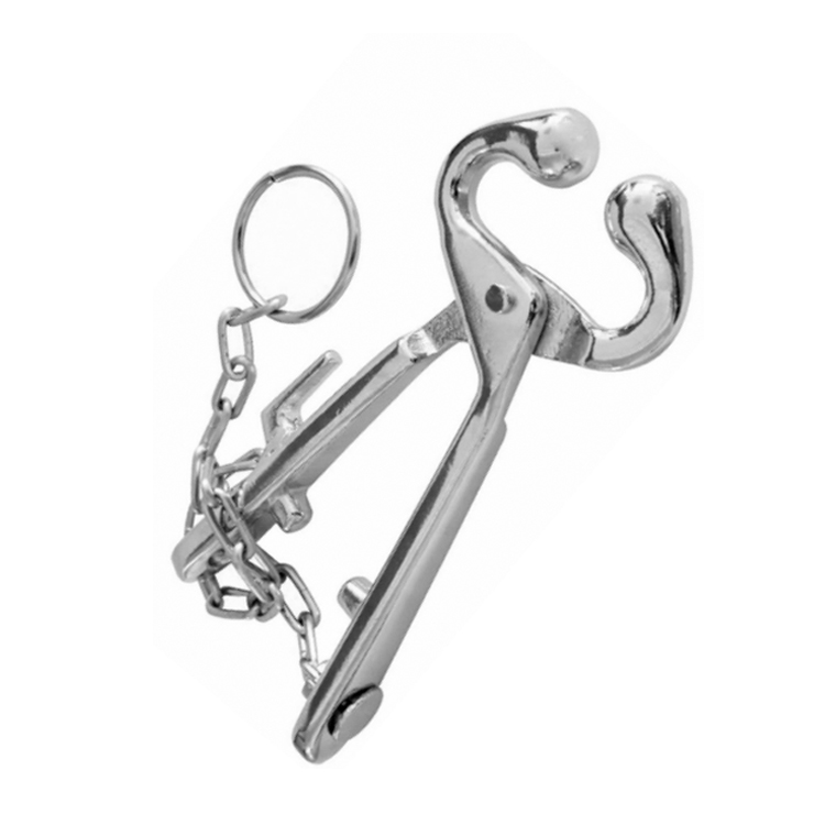 Bull Holder with chain