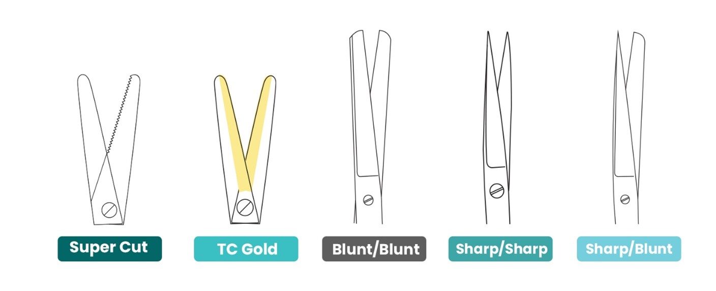 An infographic of five different types of scissors.